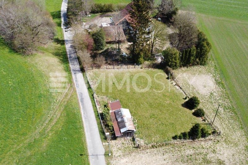 Alles Landwirtschaft