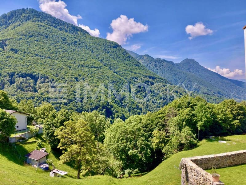 Vista valle, immersi nel verde