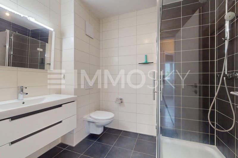 Grande salle de douche