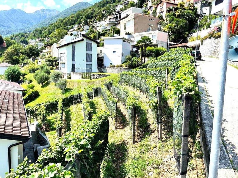 Costruisci la tua casa