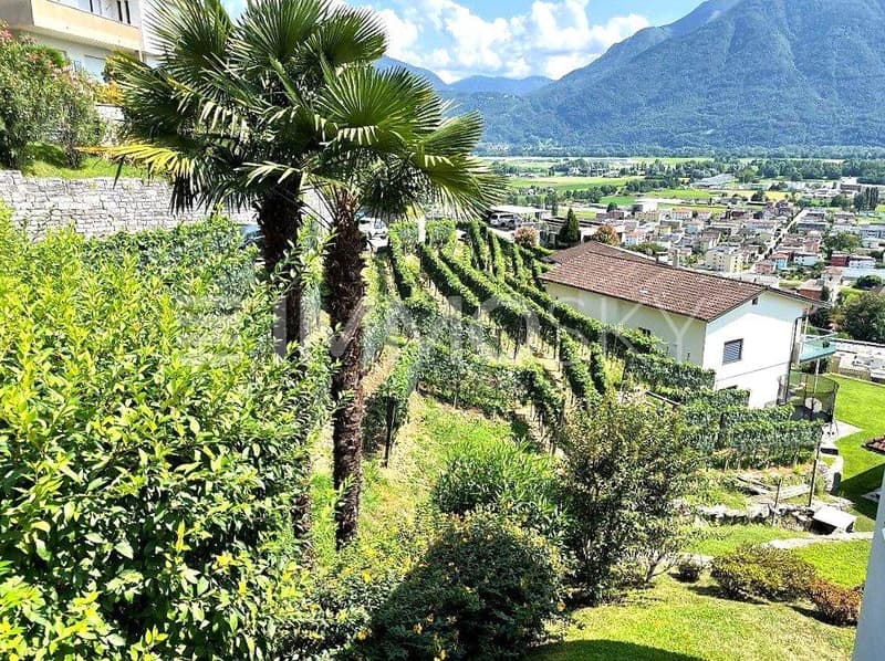 Il tuo splendido terreno
