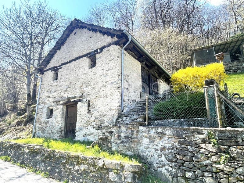 Rustico in ottime condizioni dal grande potenziale