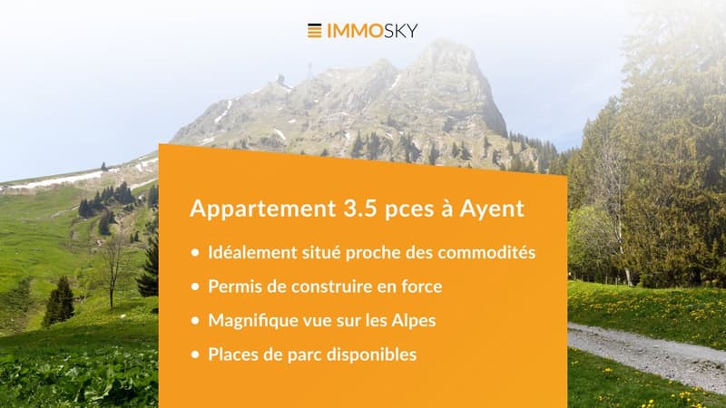 Bannière ImmoSky