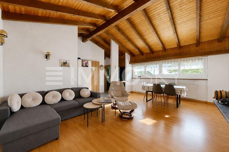 Appartement indépendant - Salon lumineux