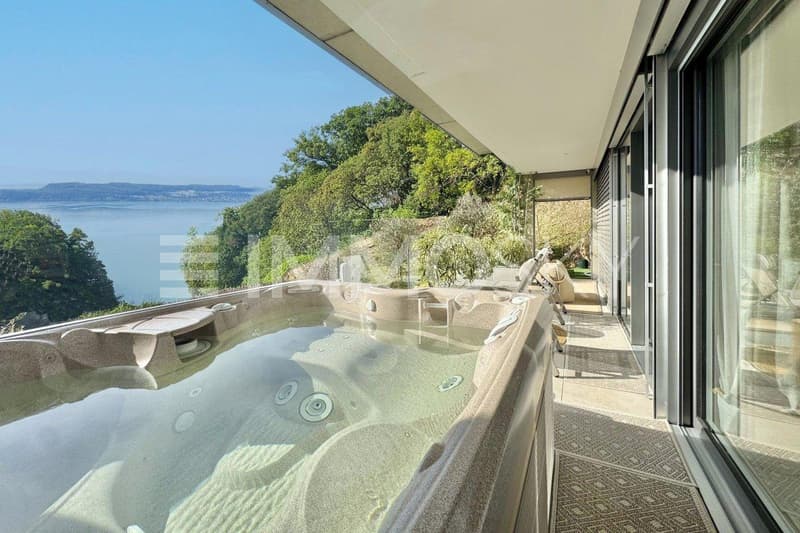 Jaccuzzi privé vue lac