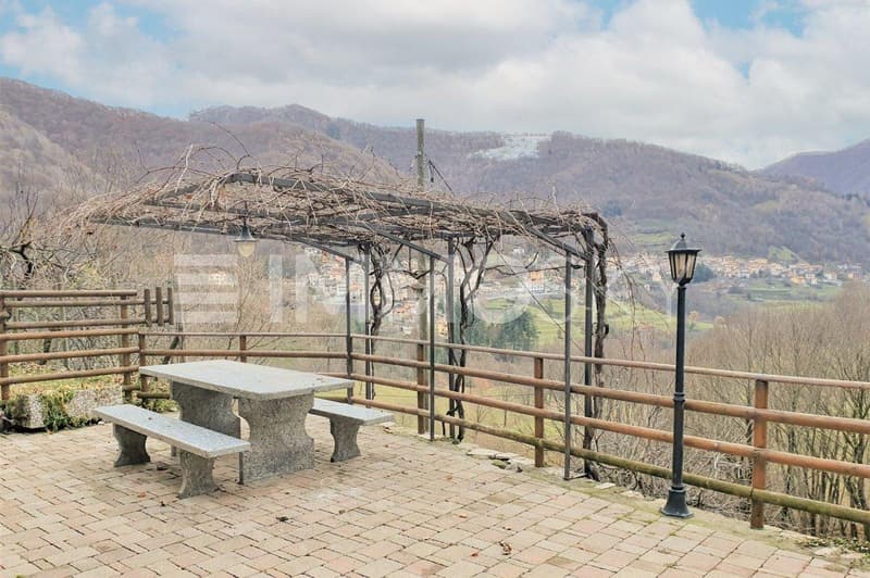 Pergolato con vite e tavolo in sasso