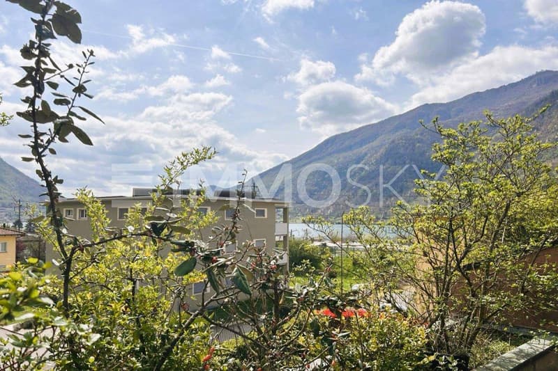Vista lago in lotananza