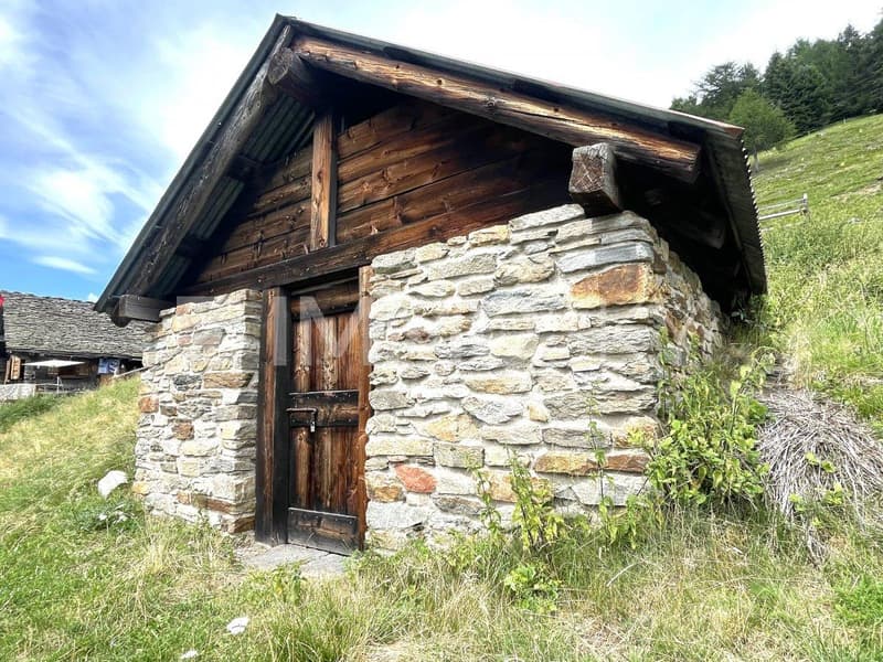 Edificio annesso completamente rifatto