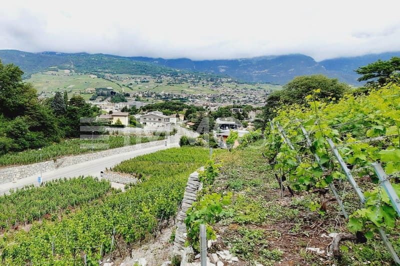 Ouverture sur la ville de Sierre