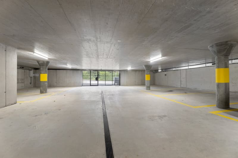 Einstellhalle.jpg