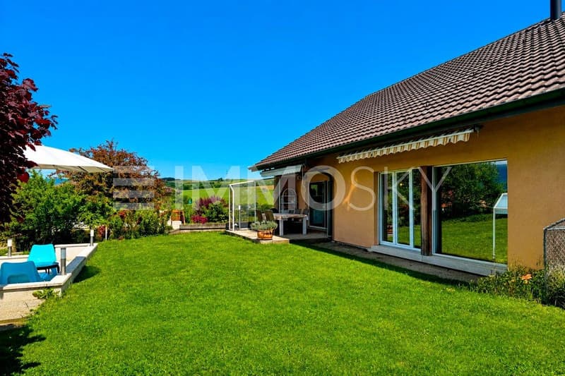 Grand jardin verdoyant