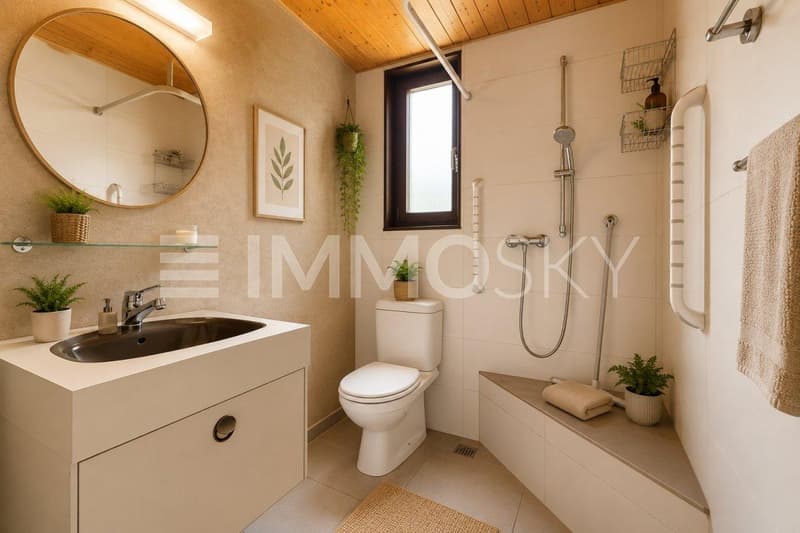 Salle de douche au rez (projection)