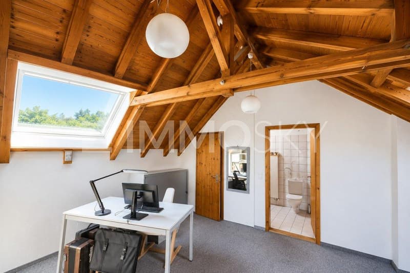 Galeriezimmer als Büro?