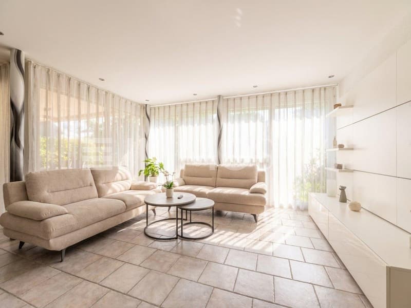 Grosszügiges Wohnzimmer
