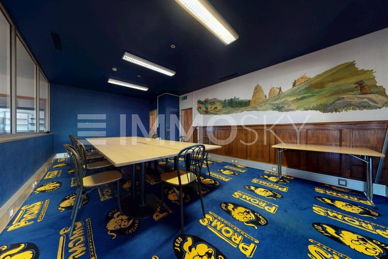 Salle de conference - Divertissement