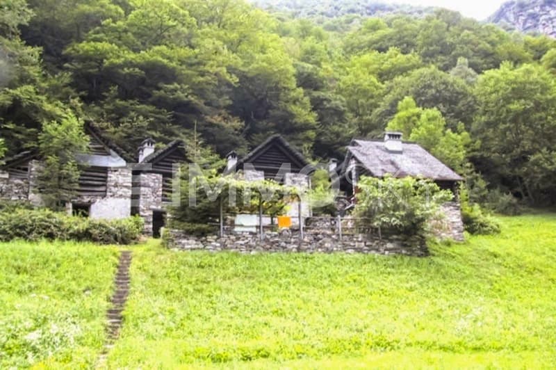 Oasi verde