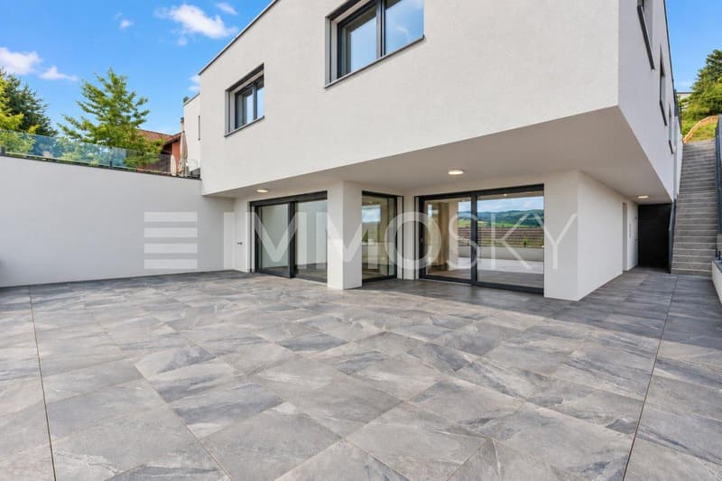 Maison mitoyenne avec grande terrasse