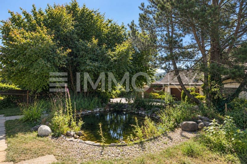 Natürliches Gartenbiotop mit Teich