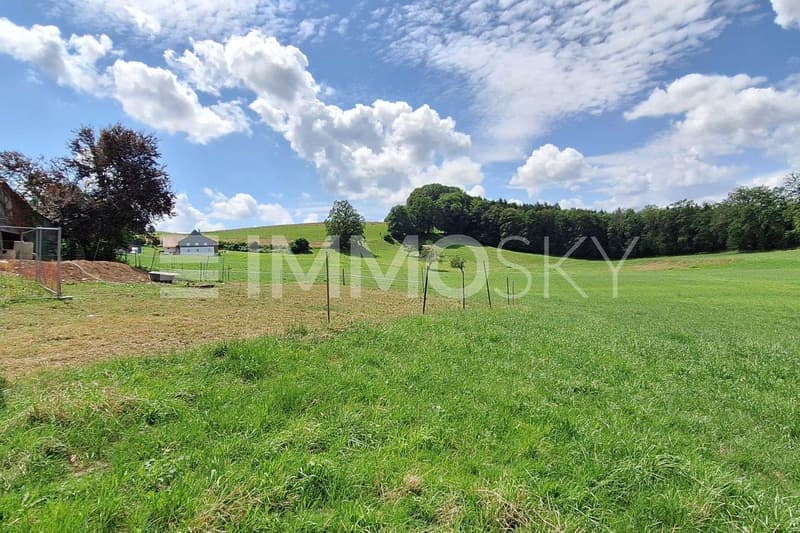 Vaste terrain agricole