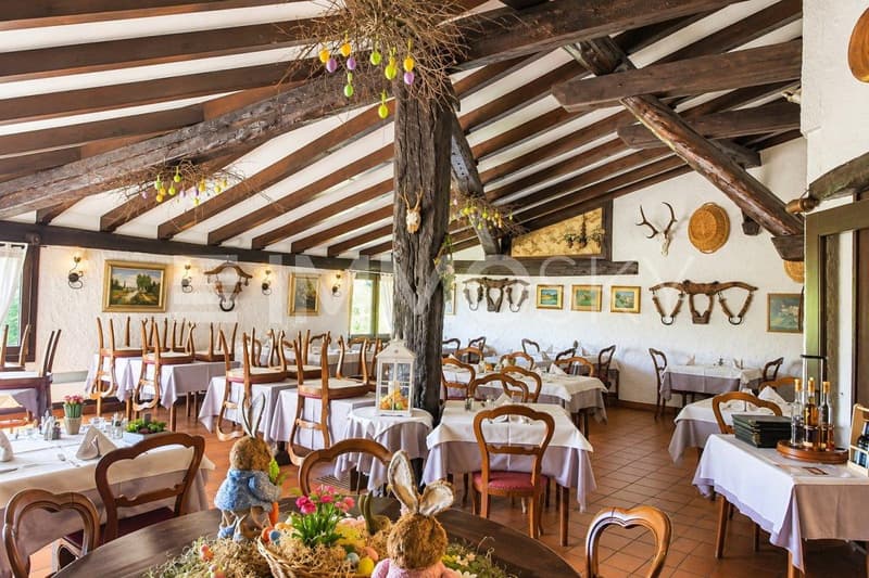 Travi in legno, stile caratteristico