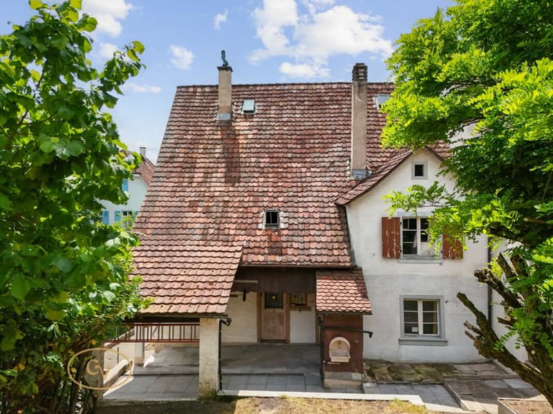 Aussenansicht mit markantem Satteldach