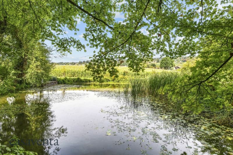 Mühleweiher (Naherholung) Ansicht 1