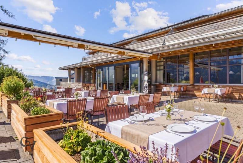 Terrasse links - Visualisierung bei Tageslicht
