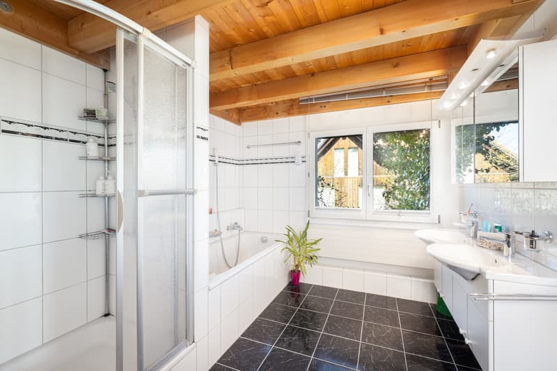 Nasszone, Bad, Dusche + WC