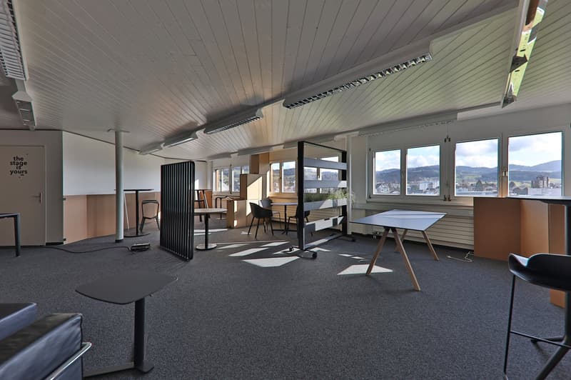 Repräsentative Büroräume im Palmhouse in Wetzikon (2)