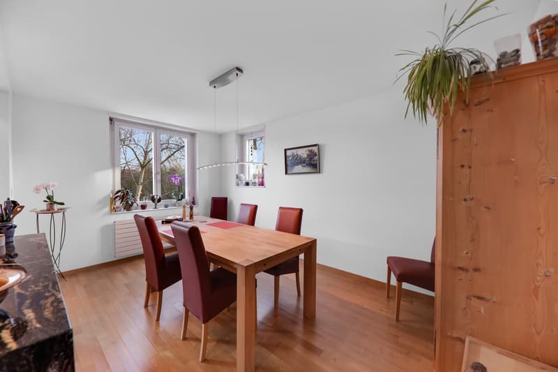 Viel Platz für die ganze Familie: 5 ½-Zimmer-Einfamilienhaus an ruhiger, sonniger Lage (4)