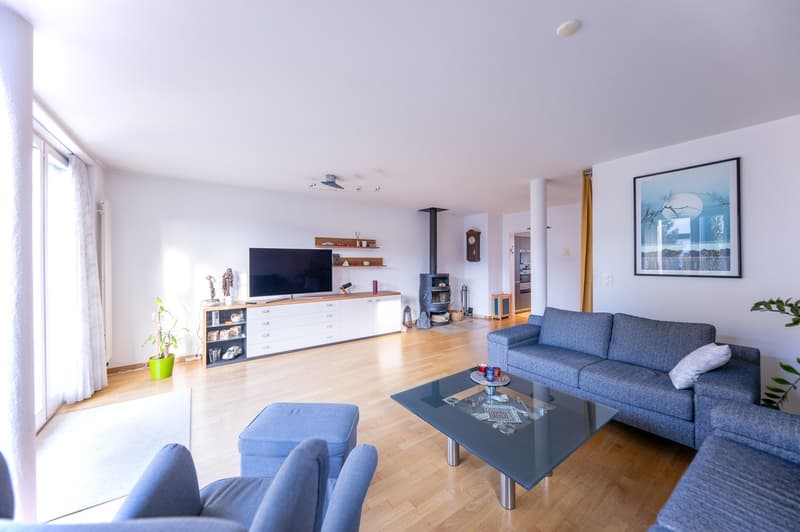 Viel Platz für die ganze Familie: 5 ½-Zimmer-Einfamilienhaus an ruhiger, sonniger Lage (3)