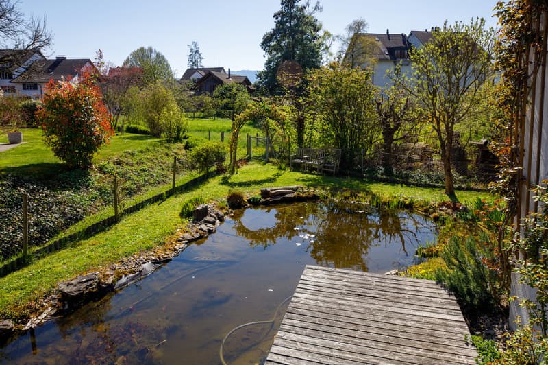 A garden with a small pond, wooden deck, and a wooden fence. The garden is surrounded by green grass and plants. There are two wooden benches near the fence. In the distance, there are houses and trees.