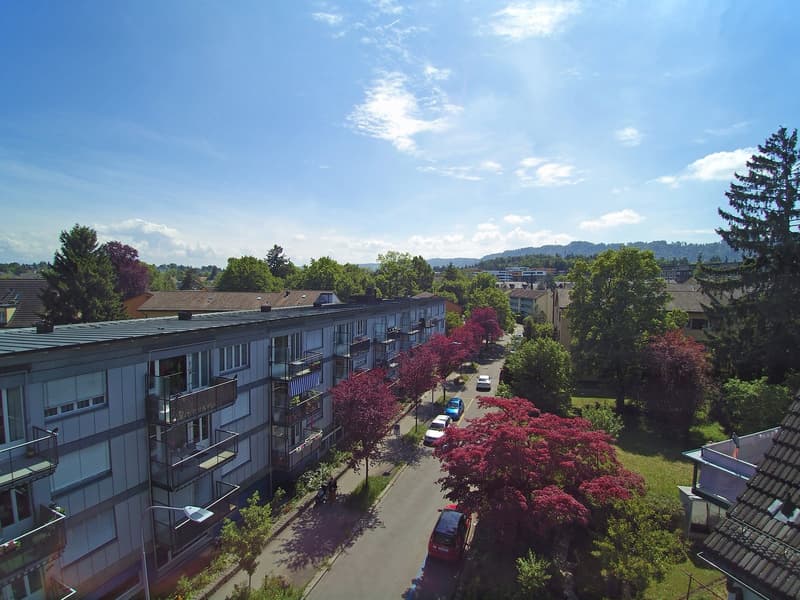 Attraktives Bauland in ruhiger Lage in Zürich-Wollishofen (10)