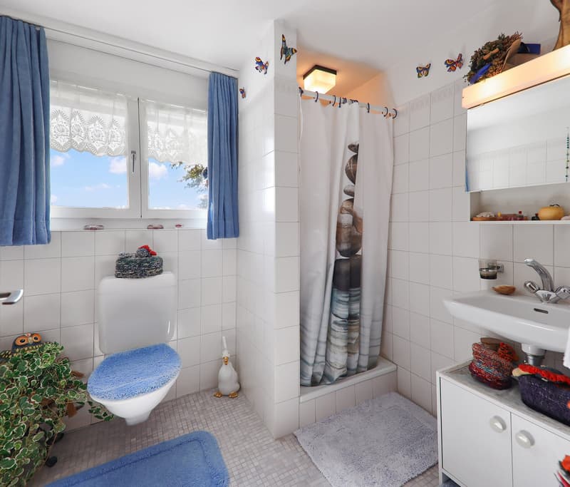 Wohnen im Grünen: Charmantes 5.5-Zimmer-Einfamilienhaus (12)