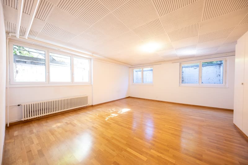 Atemberaubende Panoramasicht über den See, die Stadt, bis in die Alpen (11)