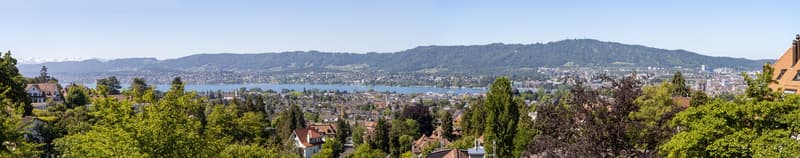 Atemberaubende Panoramasicht über den See, die Stadt, bis in die Alpen (2)