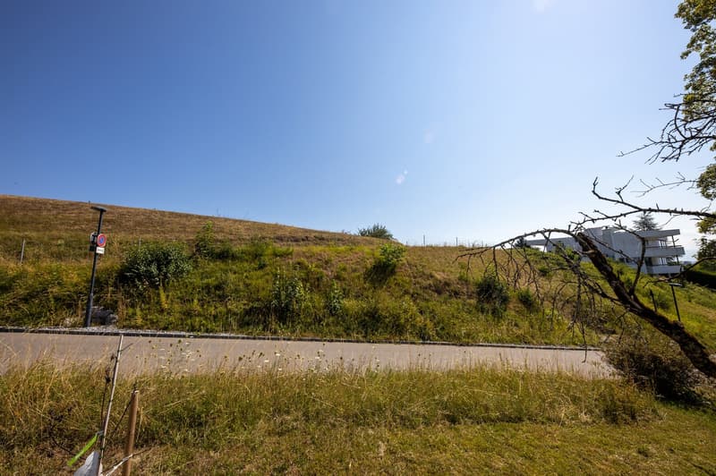 Unverbaubare Panoramasicht: Sonnige Baulandparzelle in Hombrechtikon (8)