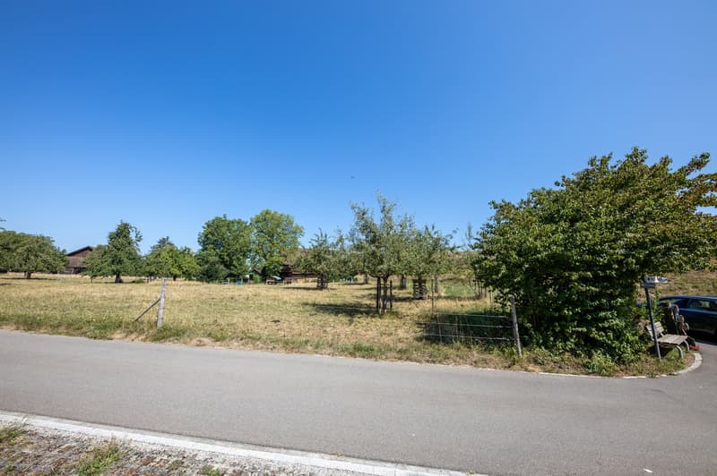Unverbaubare Panoramasicht: Sonnige Baulandparzelle in Hombrechtikon (7)