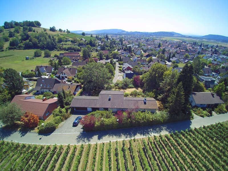 Grosszügige Baulandparzelle von 2'582 m² an ruhiger Lage in Rafz (5)