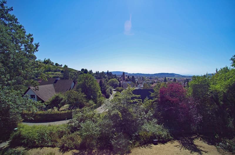Grosszügige Baulandparzelle von 2'582 m² an ruhiger Lage in Rafz (2)