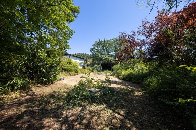 Grosszügige Baulandparzelle von 2'582 m² an ruhiger Lage in Rafz (3)