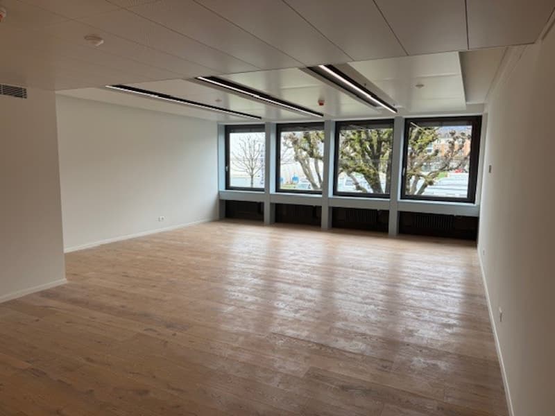 empty room, wooden floor, white walls, large windows, ceiling lights
