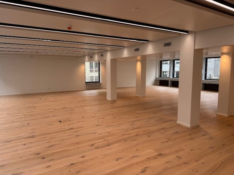 large room, hardwood floors, white walls, large windows, ceiling lights