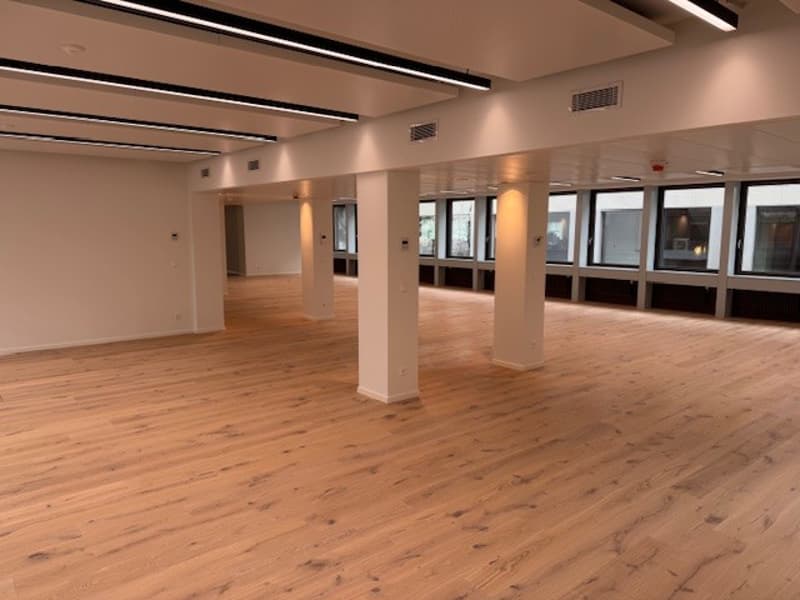 Empty room with wooden floors, white walls, large windows, and ceiling lights