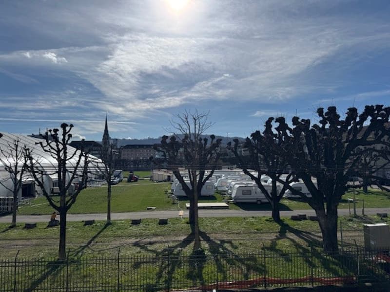 A large grassy area with trees, a fence, and a view of a city skyline with buildings and a spire.