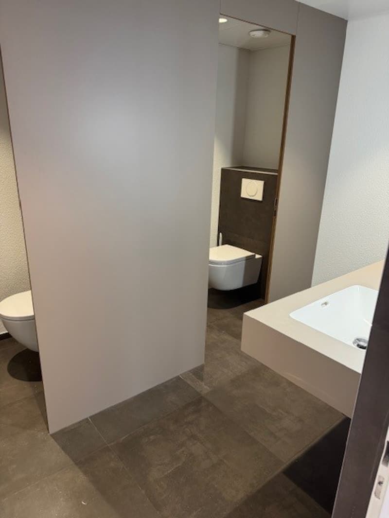small bathroom with toilet, sink, and mirror