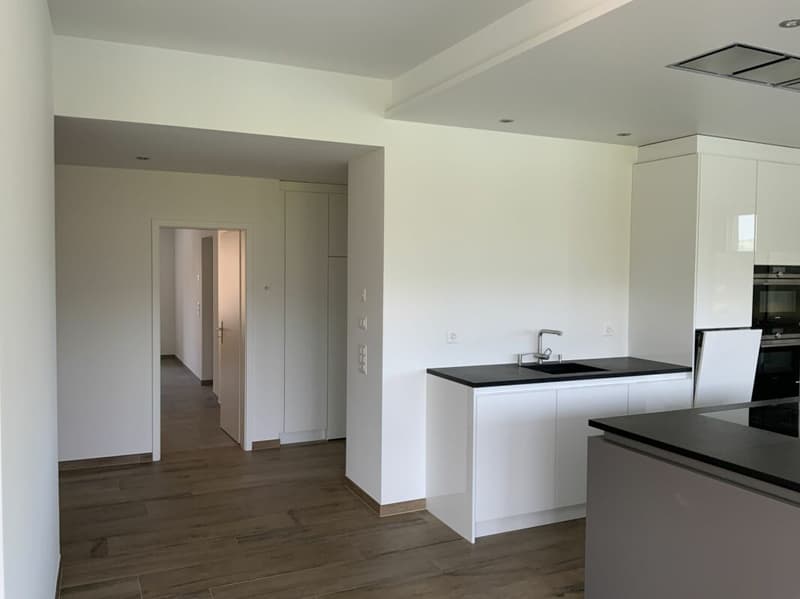 Flusshaus AQUAMARIN Gebenstorf (17)