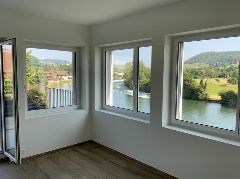 Flusshaus AQUAMARIN Gebenstorf (22)