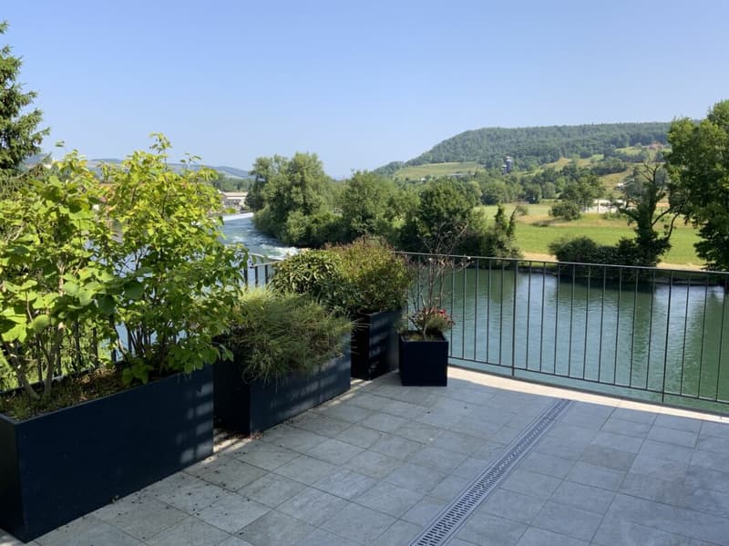 Flusshaus AQUAMARIN Gebenstorf (14)