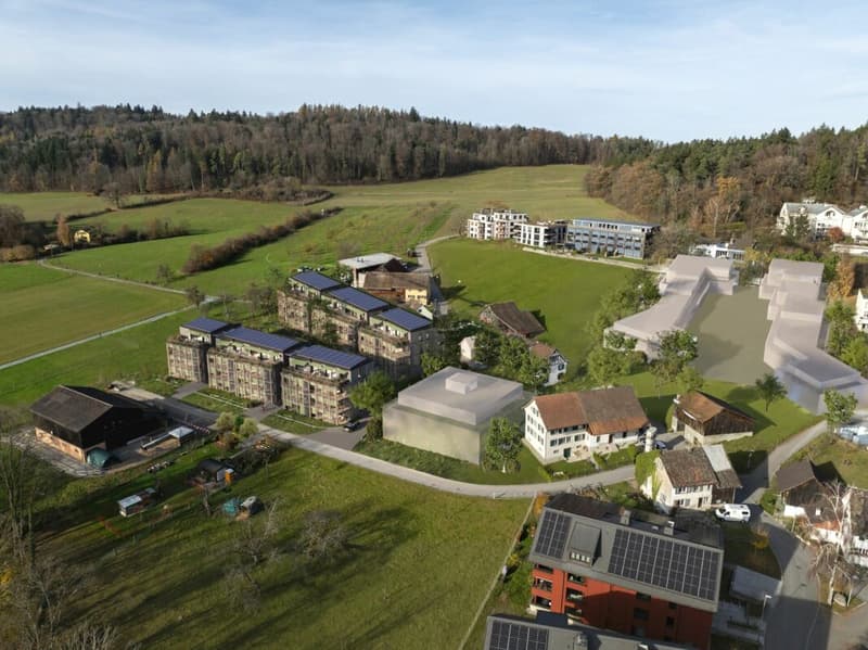 BAUMGARTEN Zürich-Höngg (7)